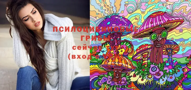 Псилоцибиновые грибы Psilocybine cubensis  Каспийск 